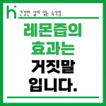 레몬즙의 효과는 거짓말 입니다. 썸네일