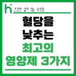 혈당을 낮추는 최고의 영양제 3가지 썸네일